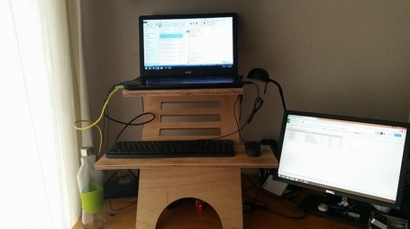 Workspace Competition - Standing Desk 