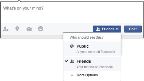 Facebook Audience Selector